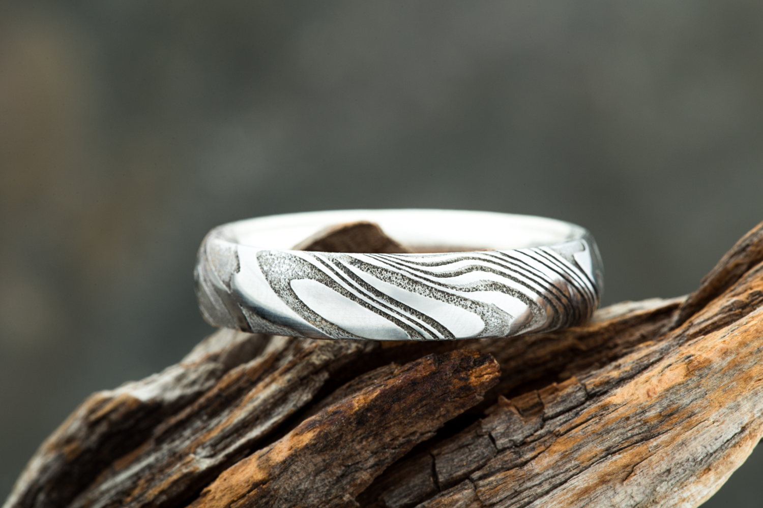 Damascus Steel ring with a woodgrain pattern exterior and a silver interior displayed on driftwood. 